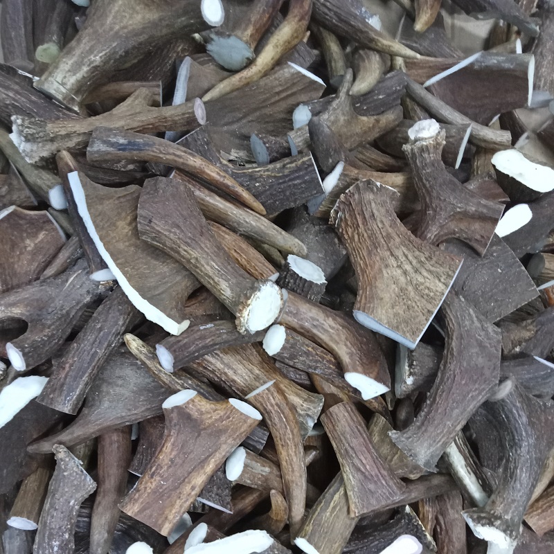 moose_antlers